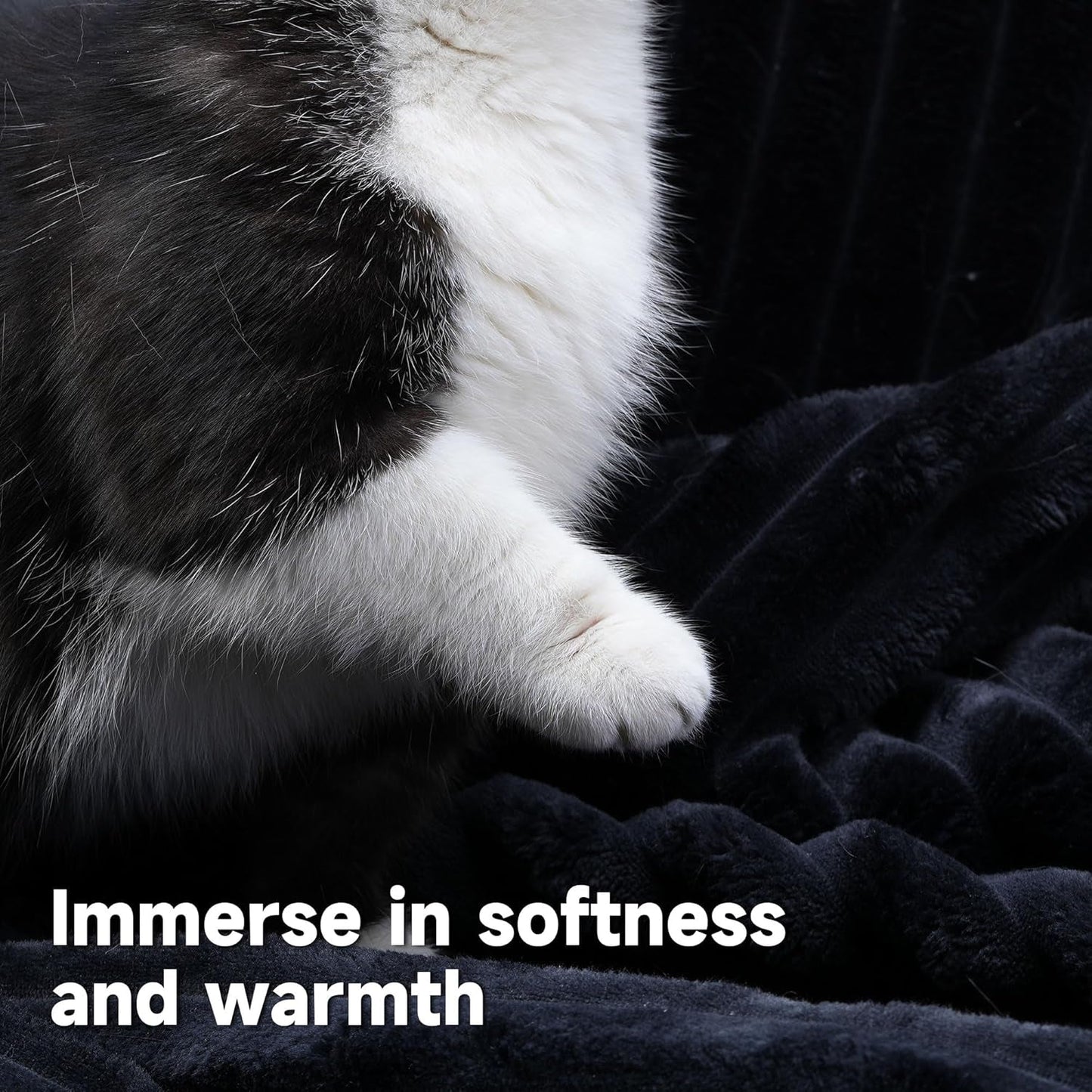 Versatile L Shaped Modular Couch for Living Room